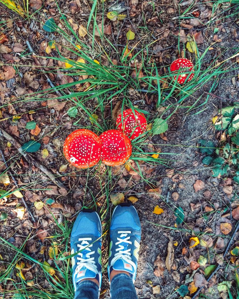 Herfst